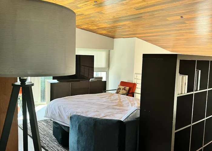 Maison Bleue Royan 230 M2 With Pool 200 Meters From *